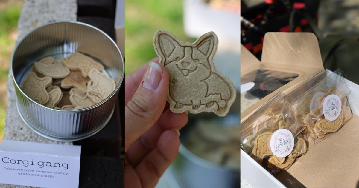 corgi sushienky